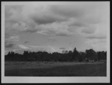 Krajobraz antropo-kulturowy