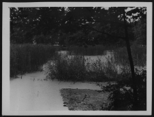 Krajobraz antropo-kulturowy