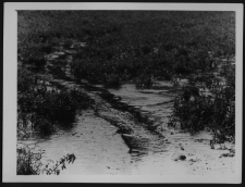 Krajobraz antropo-kulturowy