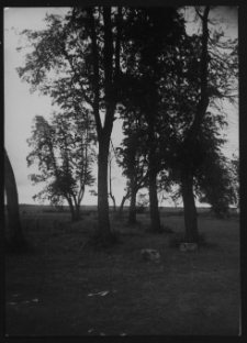 Krajobraz antropo-kulturowy