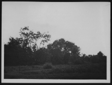 Krajobraz antropo-kulturowy