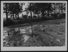 Krajobraz antropo-kulturowy