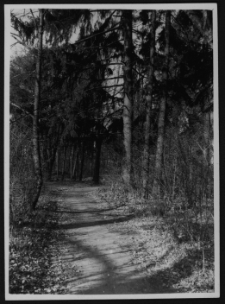 Krajobraz antropo-kulturowy