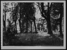 Krajobraz antropo-kulturowy