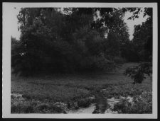 Krajobraz antropo-kulturowy