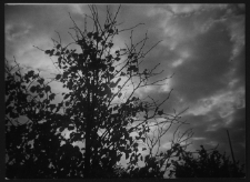 Krajobraz antropo-kulturowy