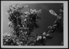 Krajobraz antropo-kulturowy