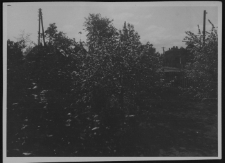 Krajobraz antropo-kulturowy