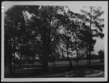 Krajobraz antropo-kulturowy