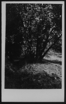 Krajobraz antropo-kulturowy