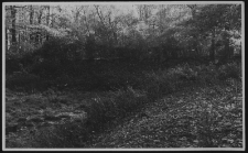 Krajobraz antropo-kulturowy