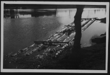 Krajobraz antropo-kulturowy