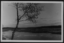 Krajobraz antropo-kulturowy