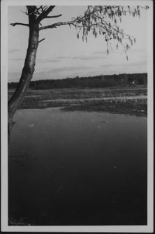 Krajobraz antropo-kulturowy