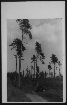 Powiat suwalski, krajobraz