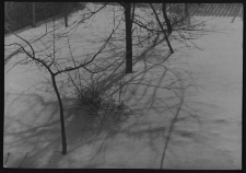 Krajobraz antropo-kulturowy