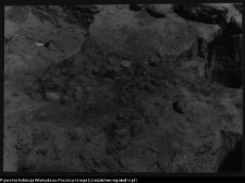 Rosochate Kościelne, kości&oacute;ł p.w. św. Doroty