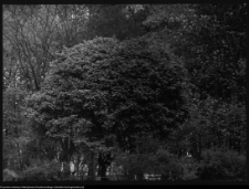 Krajobraz antropo-kulturowy