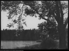 Krajobraz antropo-kulturowy