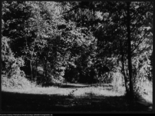 Krajobraz antropo-kulturowy