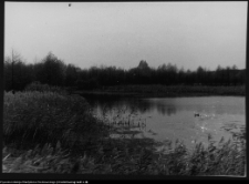 Krajobraz antropo-kulturowy