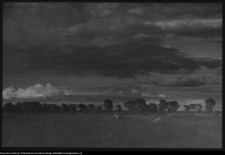 Krajobraz antropo-kulturowy