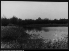 Krajobraz antropo-kulturowy