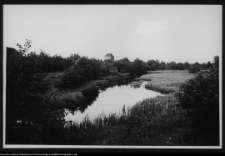 Żerczyce, rzeka Nurzec przy młynie