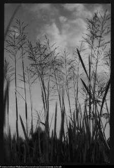 Krajobraz antropo-kulturowy