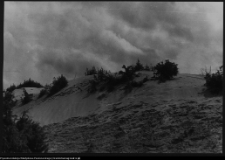 Krajobraz antropo-kulturowy