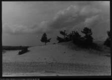 Krajobraz antropo-kulturowy