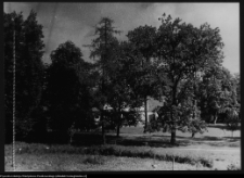 Krajobraz antropo-kulturowy