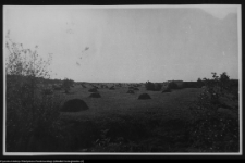 Krajobraz antropo-kulturowy