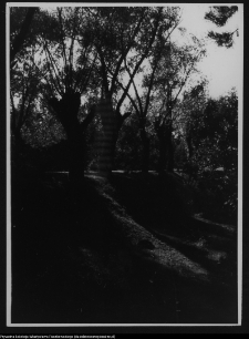 Krajobraz antropo-kulturowy