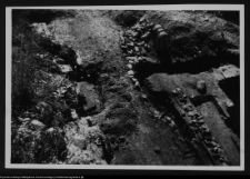 Wigry : zesp&oacute;ł klasztorno-kościelny (wykopy domu furtiana)