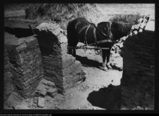 Wigry : zespół klasztorno-kościelny