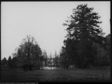 Pietkowo, park przypałacowy