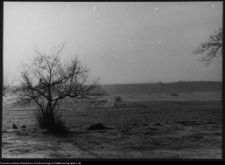 Pawłowicze, okolice dworu