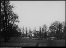 Pietkowo, park przypałacowy