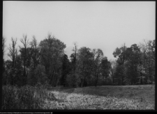 Pietkowo, park przypałacowy