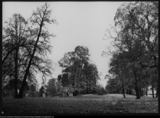 Pietkowo, park przypałacowy
