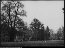 Pietkowo, park przypałacowy