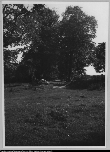 Pawłowicze, aleja wjazdowa