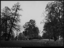 Pietkowo, park przypałacowy