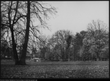 Pietkowo, park przypałacowy