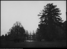 Pietkowo, park przypałacowy