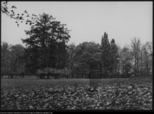 Pietkowo, park przypałacowy