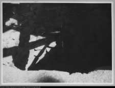 Pawłowicze, dwór (stara studnia)