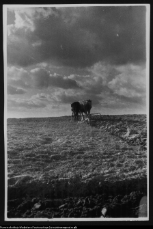 Krajobraz antropo-kulturowy