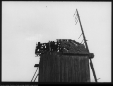 Zubowo, wiatrak koźlak